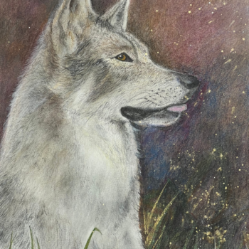 Colored pencil artwork of a wolf
