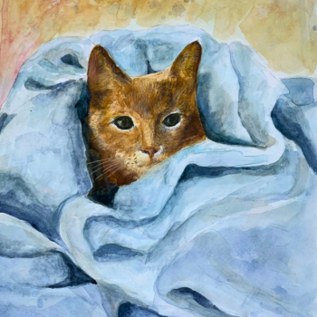 watercolor painting of cat cuddling
