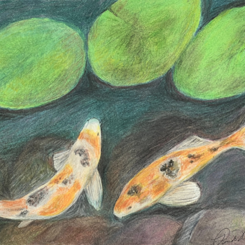 Koi fish artwork
